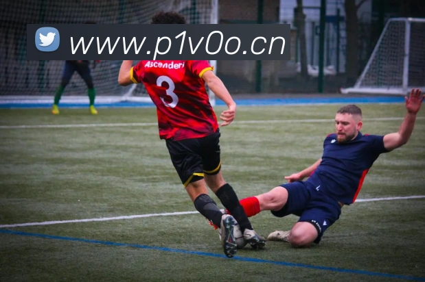 在线足球官网平台生态图